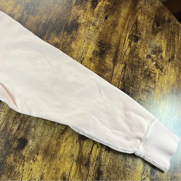 American Eagle Outfitters Pink Hoodie - Picture 7 of 12